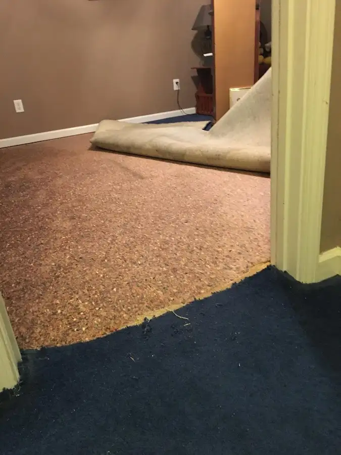 Carpet pad removal revealing water damage during Drying & Dehumidification in Trinidad